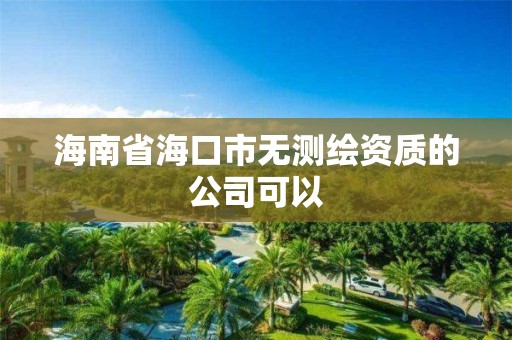 海南省海口市無測繪資質的公司可以