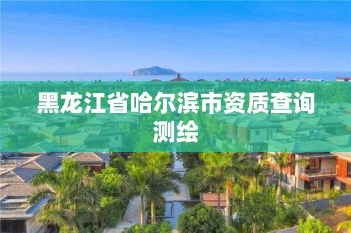 黑龍江省哈爾濱市資質查詢測繪