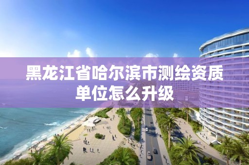 黑龍江省哈爾濱市測繪資質單位怎么升級