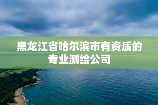 黑龍江省哈爾濱市有資質的專業測繪公司