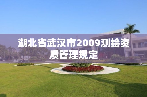 湖北省武漢市2009測繪資質管理規定