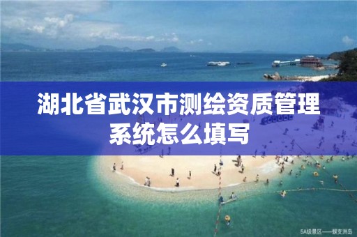 湖北省武漢市測繪資質管理系統怎么填寫