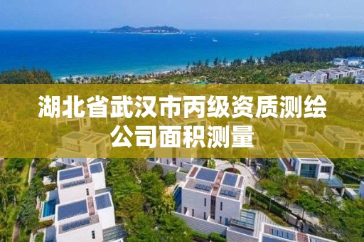 湖北省武漢市丙級資質測繪公司面積測量