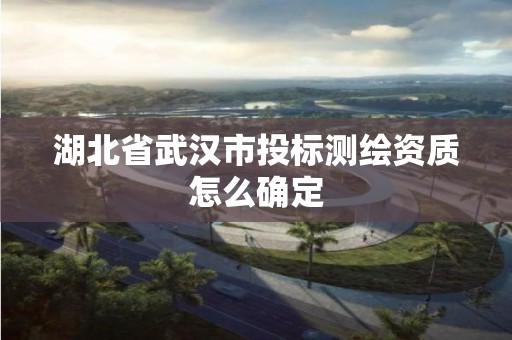 湖北省武漢市投標(biāo)測繪資質(zhì)怎么確定