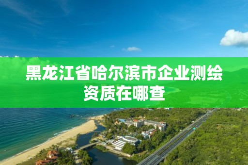 黑龍江省哈爾濱市企業測繪資質在哪查