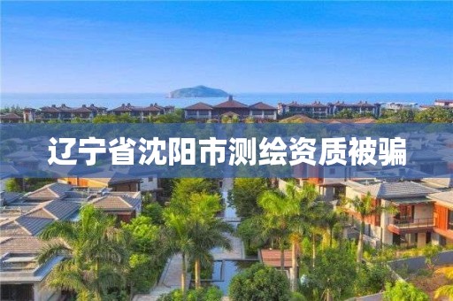 遼寧省沈陽市測繪資質被騙