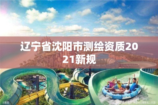 遼寧省沈陽市測繪資質2021新規