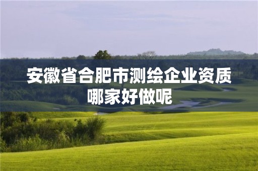 安徽省合肥市測(cè)繪企業(yè)資質(zhì)哪家好做呢