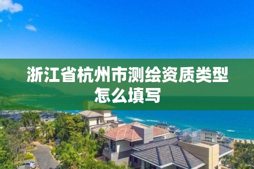 浙江省杭州市測繪資質類型怎么填寫