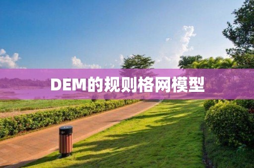 DEM的規則格網模型