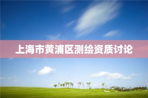 上海市黃浦區(qū)測(cè)繪資質(zhì)討論