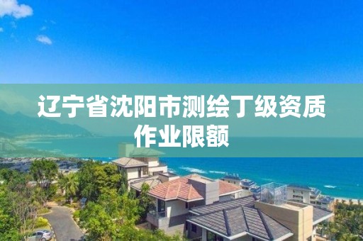 遼寧省沈陽市測繪丁級資質作業限額