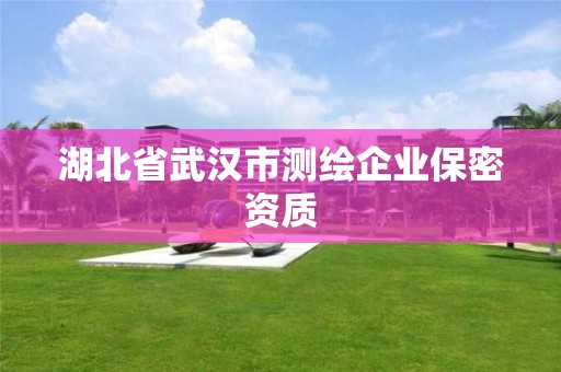 湖北省武漢市測繪企業保密資質