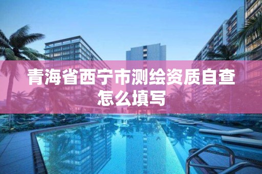 青海省西寧市測繪資質(zhì)自查怎么填寫