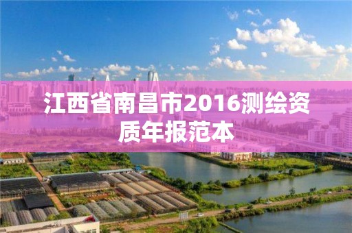 江西省南昌市2016測繪資質年報范本