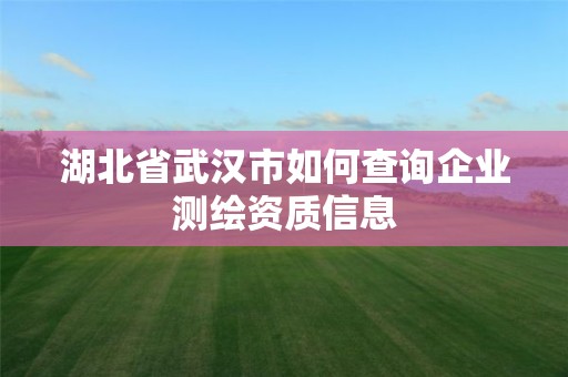 湖北省武漢市如何查詢企業(yè)測(cè)繪資質(zhì)信息