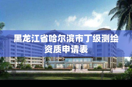 黑龍江省哈爾濱市丁級測繪資質申請表