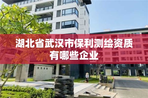 湖北省武漢市保利測繪資質有哪些企業