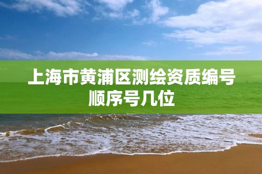 上海市黃浦區測繪資質編號順序號幾位