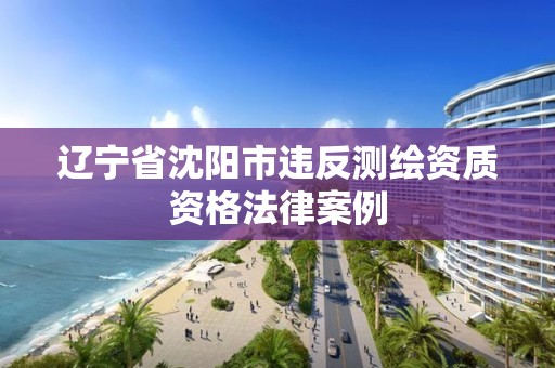 遼寧省沈陽市違反測繪資質資格法律案例