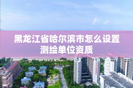 黑龍江省哈爾濱市怎么設置測繪單位資質