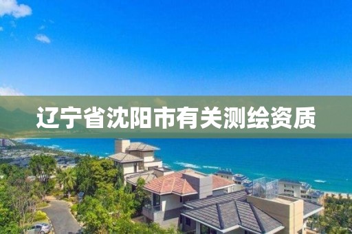 遼寧省沈陽市有關測繪資質