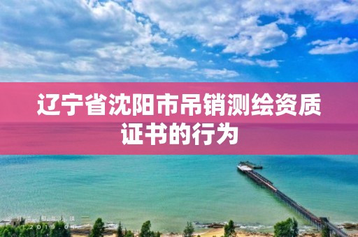 遼寧省沈陽市吊銷測繪資質證書的行為