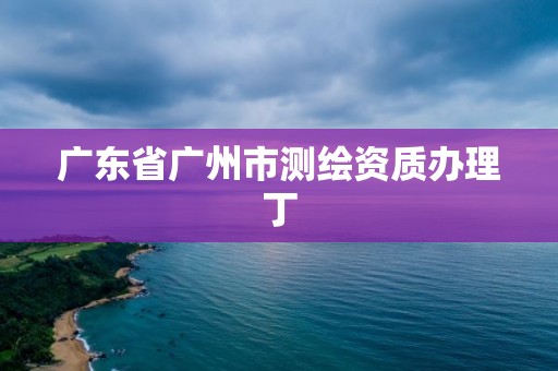 廣東省廣州市測繪資質辦理丁