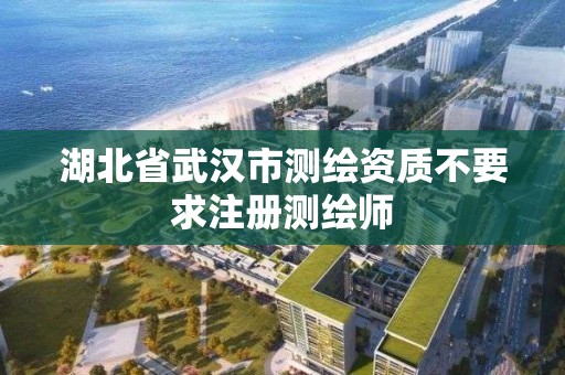 湖北省武漢市測繪資質不要求注冊測繪師