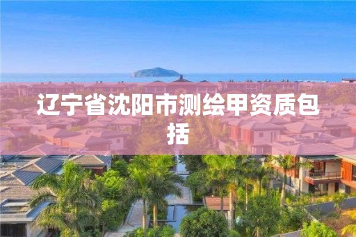 遼寧省沈陽市測繪甲資質包括