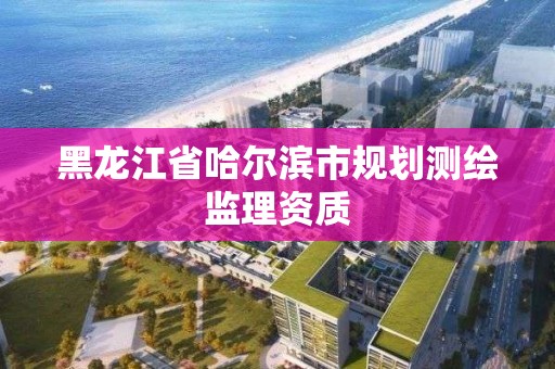 黑龍江省哈爾濱市規劃測繪監理資質