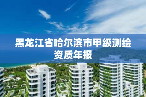 黑龍江省哈爾濱市甲級測繪資質年報