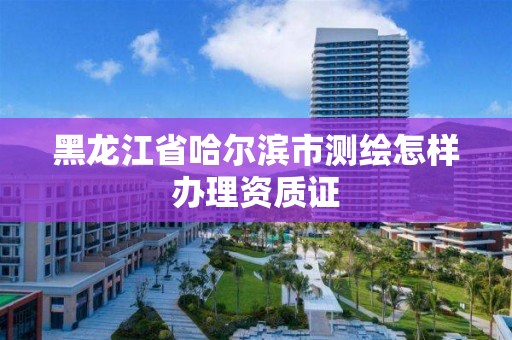 黑龍江省哈爾濱市測繪怎樣辦理資質(zhì)證