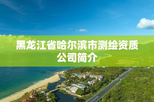 黑龍江省哈爾濱市測繪資質公司簡介