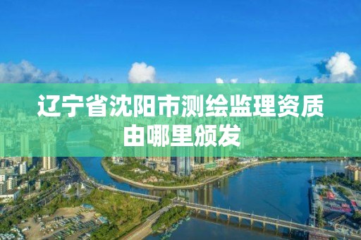 遼寧省沈陽市測繪監理資質由哪里頒發