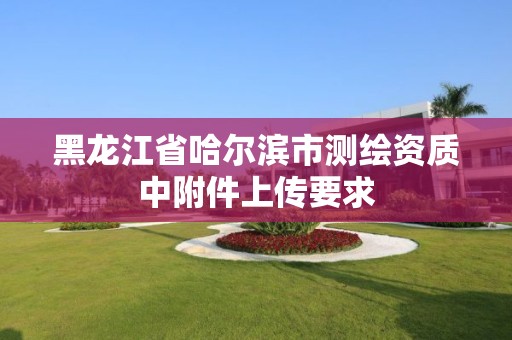 黑龍江省哈爾濱市測繪資質中附件上傳要求