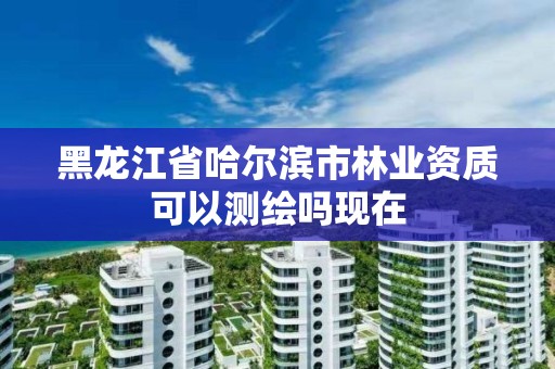 黑龍江省哈爾濱市林業資質可以測繪嗎現在