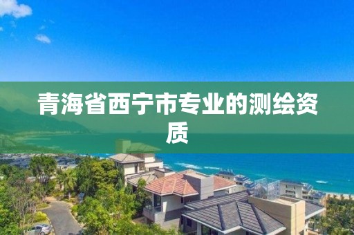 青海省西寧市專業的測繪資質