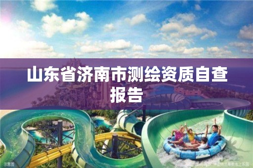 山東省濟南市測繪資質(zhì)自查報告