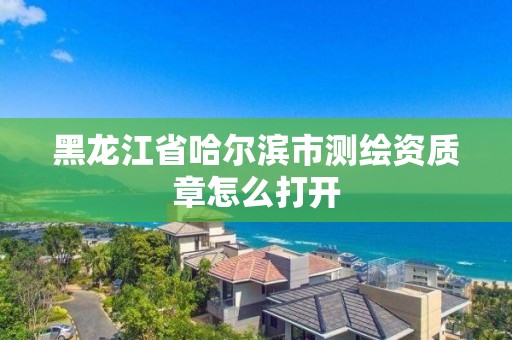 黑龍江省哈爾濱市測繪資質章怎么打開