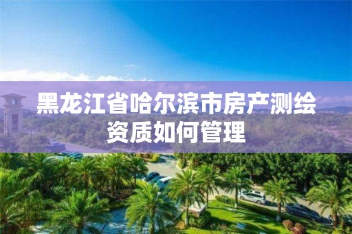 黑龍江省哈爾濱市房產測繪資質如何管理