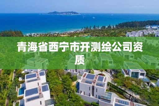 青海省西寧市開測繪公司資質