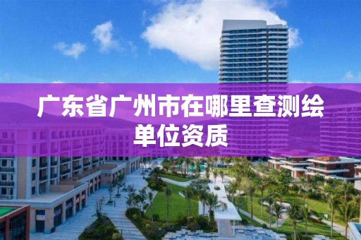 廣東省廣州市在哪里查測繪單位資質(zhì)