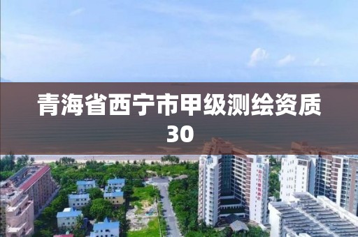 青海省西寧市甲級測繪資質30