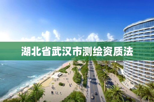 湖北省武漢市測繪資質法