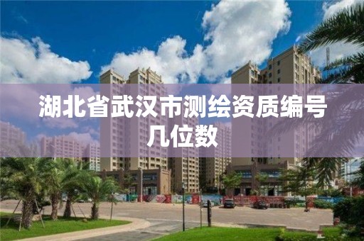 湖北省武漢市測(cè)繪資質(zhì)編號(hào)幾位數(shù)