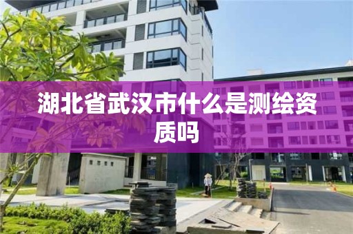 湖北省武漢市什么是測(cè)繪資質(zhì)嗎