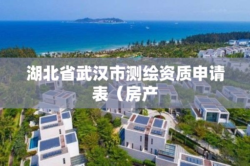 湖北省武漢市測繪資質申請表（房產