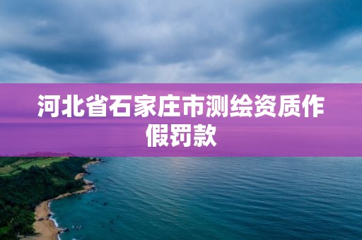 河北省石家莊市測繪資質(zhì)作假罰款