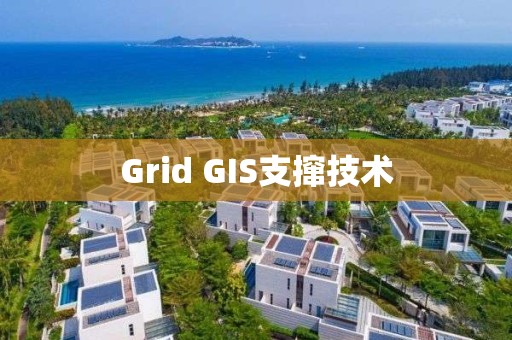 Grid GIS支攛技術